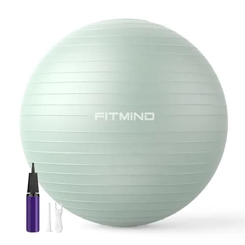 FITMIND Extra Thick Exercise Ball 65cm | Anti-Burst, Slip-Resistant, Pregnancy Support thumbnail 1