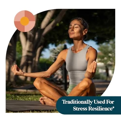 Pattern Wellness Lion’s Mane Mushroom Supplement – 90 Vegan Capsules | Brain & Immune Support thumbnail 5