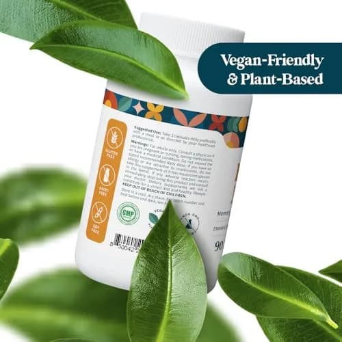 Pattern Wellness Lion’s Mane Mushroom Supplement – 90 Vegan Capsules | Brain & Immune Support thumbnail 8