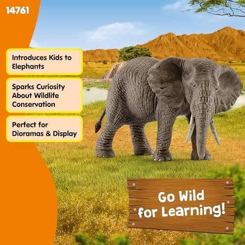 Schleich African Elephant Female Figurine 14.5 cm (5.7 inches) | Realistic Wildlife Toy for Kids Ages 3+ thumbnail 5