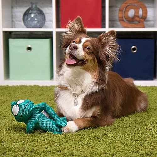 goDog Double Chew Guard Mesh Amphibianz Chameleon Squeaky Dog Toy - Teal, Large thumbnail 5