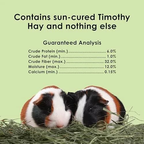 Kaytee Timothy Hay for Rabbits, Guinea Pigs, Chinchillas & Small Animals, 2 lb (0.898 kg) | High Fiber Digestive Support thumbnail 8