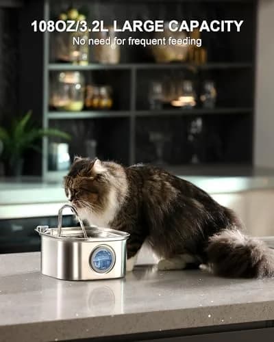 NautyPaws Cat Water Fountain Stainless Steel 3.2L | Quiet, Rust-Resistant Pet Water Dispenser thumbnail 4