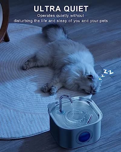 NautyPaws Cat Water Fountain Stainless Steel 3.2L | Quiet, Rust-Resistant Pet Water Dispenser thumbnail 5