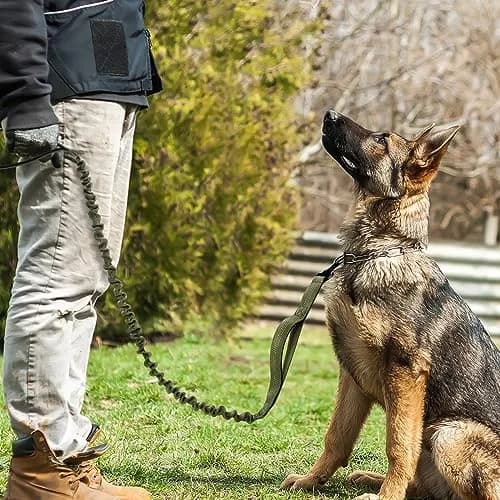 rabbitgoo Tactical Dog Leash, Heavy Duty Training Bungee Lead | 5.2ft, Reflective, Shock-Absorbing thumbnail 9