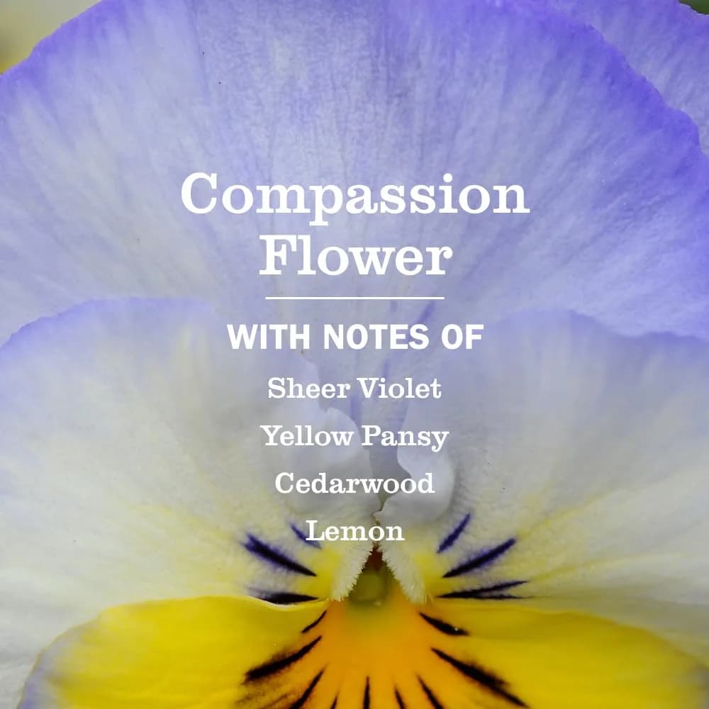 Mrs. Meyer's Clean Day Liquid Dish Soap Refill Compassion Flower Scent 48 fl oz (1.4 L) | Gentle & Effective - view 2