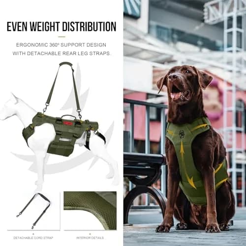 ONETIGRIS Dog Lift Harness for Large Dogs | Full Body Hip Support & Handles (Small) thumbnail 4