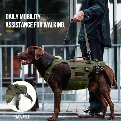 ONETIGRIS Dog Lift Harness for Large Dogs | Full Body Hip Support & Handles (Small) thumbnail 2