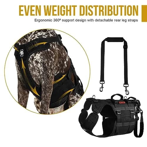 ONETIGRIS Dog Lift Harness for Small Dogs | Full Body Support with Handles, Mobility Aid, Hip Brace (Black, Small) thumbnail 2