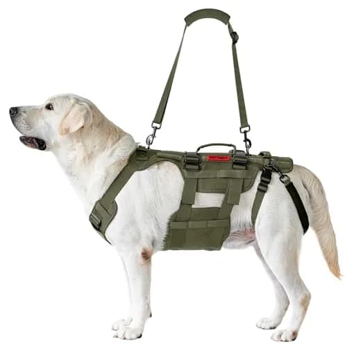 ONETIGRIS Dog Lift Harness for Large Dogs | Full Body Support with Handles, Hip Brace, Mobility Aid (Green, Large) thumbnail 5