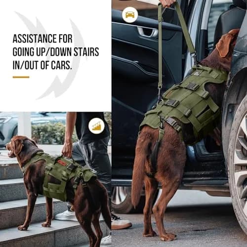 ONETIGRIS Dog Lift Harness for Large Dogs | Full Body Support with Handles, Hip Brace, Mobility Aid (Green, Large) thumbnail 3