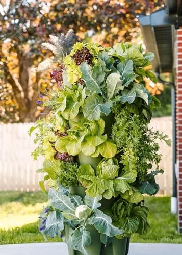 Greenstalk Large 5 Tier Vertical Garden Planter with Watering System | Grow Vegetables, Herbs & Flowers thumbnail 4