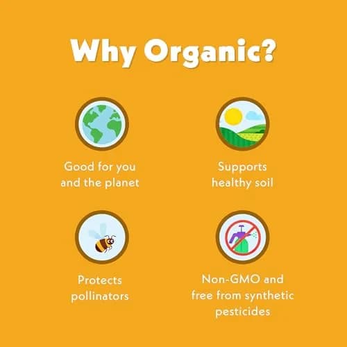 Once Upon a Farm Tractor Wheel Bar, Banana, Pumpkin & Cauliflower | Organic Baby Snack 3.35 OZ thumbnail 6