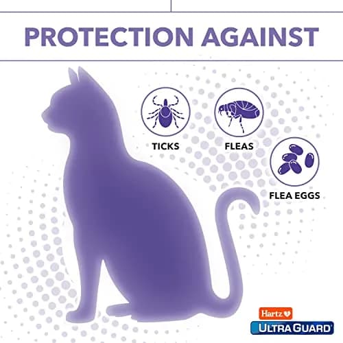 Hartz UltraGuard Plus Cat Flea & Tick Spray 473ml (16 Fl Oz) | Kills Fleas in 10 Mins thumbnail 3