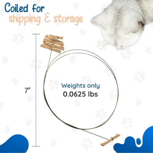 Cat Dancer Interactive Cat Toy 2-Pack | Engaging Paper Roll on 30-Inch Steel Wire for Playful Cats thumbnail 4
