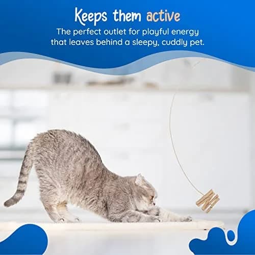 Cat Dancer Interactive Cat Toy 2-Pack | Engaging Paper Roll on 30-Inch Steel Wire for Playful Cats thumbnail 6