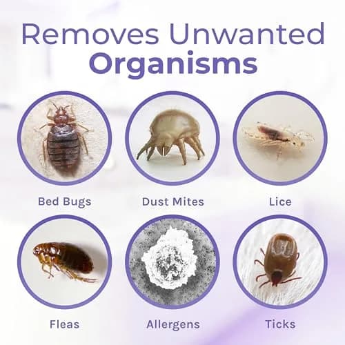 Hygea Natural Spotless Essentials Bed Bug Concentrate & Cleaner Lavender | Natural Pest & Surface Cleaner 128 Fl Oz thumbnail 6