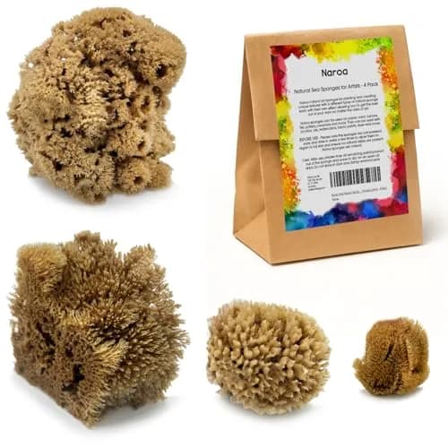 Naroa Artist Natural Sea Sponges for Painting 4 Pack | Unique Tool Set Unbleached | Great for Artists & Children | Acrylic, Watercolor, Marbling, Texturing, Pottery, Ceramics thumbnail 1