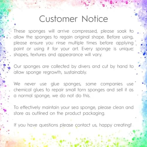 Naroa Artist Natural Sea Sponges for Painting 4 Pack | Unique Tool Set Unbleached | Great for Artists & Children | Acrylic, Watercolor, Marbling, Texturing, Pottery, Ceramics thumbnail 7