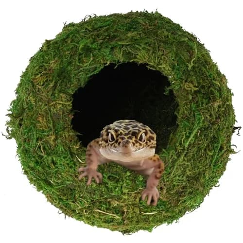 USMOLA Mossy Caves, Artificial Green Moss Hide for Reptiles & Amphibians | Durable Terrarium Decor (4" - Woodland Green) thumbnail 1