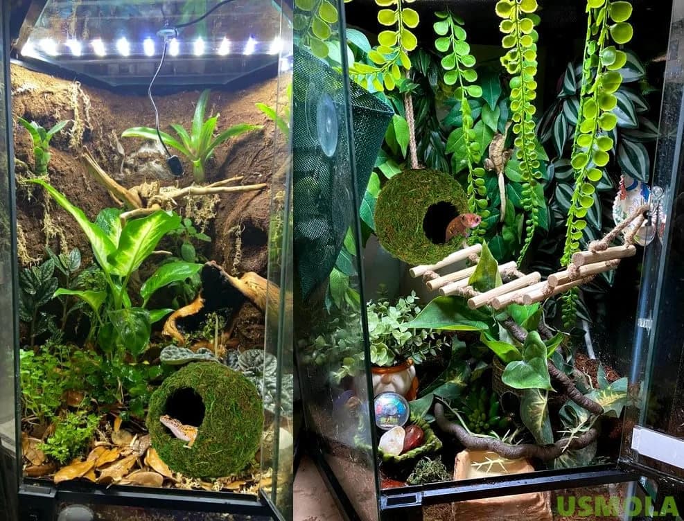 USMOLA Mossy Caves, Artificial Green Moss Hide for Reptiles & Amphibians | Durable Terrarium Decor (4" - Woodland Green) thumbnail 5