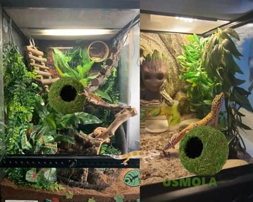 USMOLA Mossy Caves Hideout for Reptiles & Amphibians | 159g (5.6 oz) Woodland Green thumbnail 6