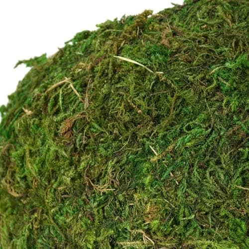 USMOLA Mossy Caves Hideout for Reptiles & Amphibians | 159g (5.6 oz) Woodland Green thumbnail 8