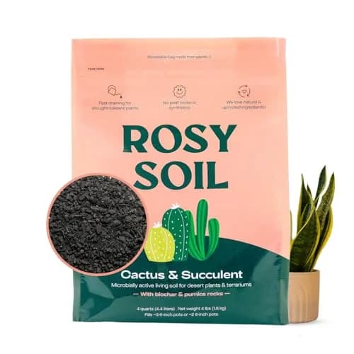 Rosy Soil Cactus & Succulent Potting Mix, 4 Quarts | Organic, Fast Draining, Peat-Free, Root Boosting thumbnail 1