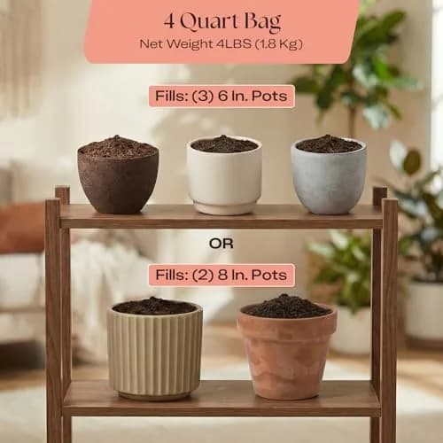 Rosy Soil Cactus & Succulent Potting Mix, 4 Quarts | Organic, Fast Draining, Peat-Free, Root Boosting thumbnail 6