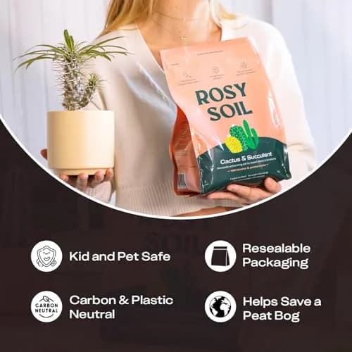 Rosy Soil Cactus & Succulent Potting Mix, 4 Quarts | Organic, Fast Draining, Peat-Free, Root Boosting thumbnail 7