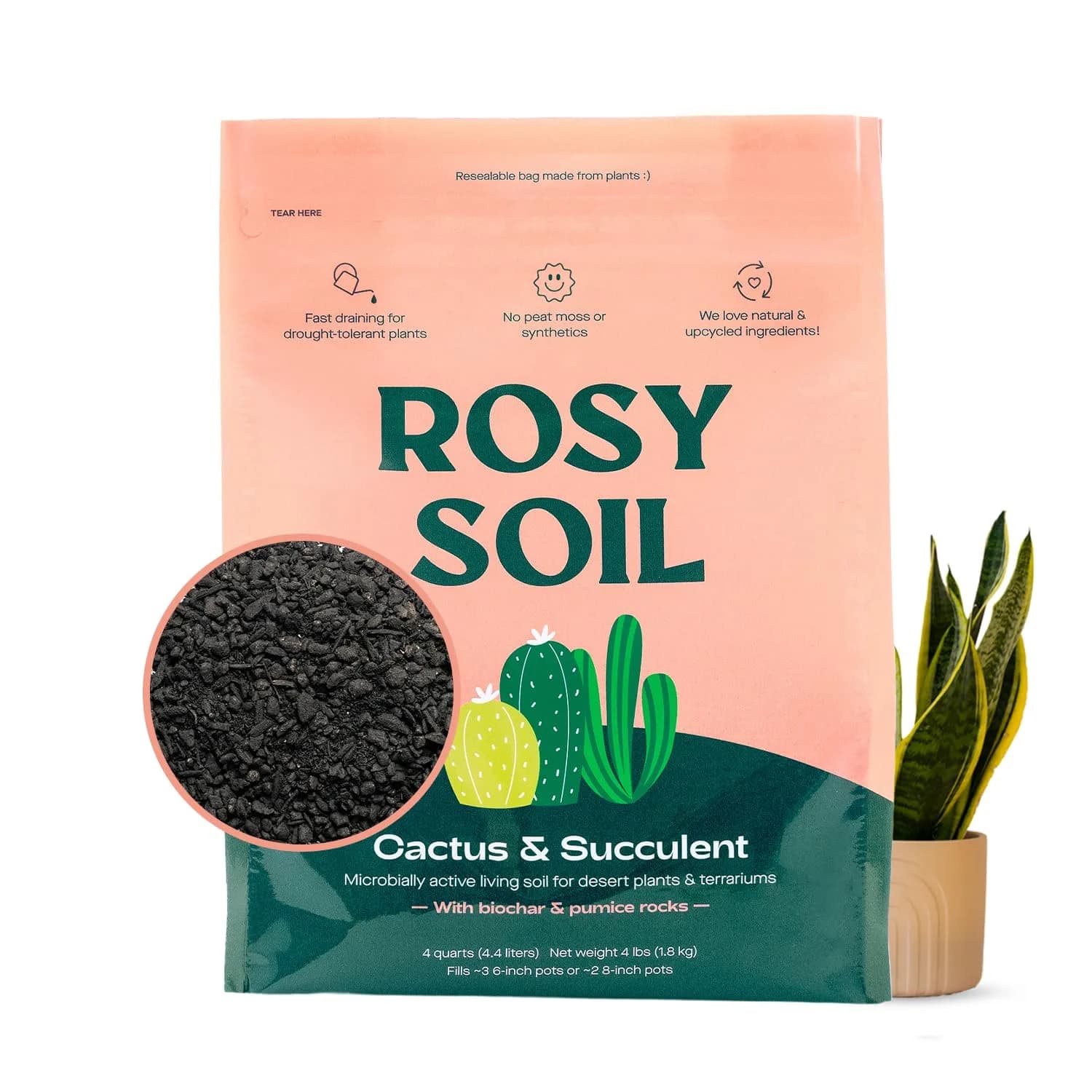 Rosy Soil Cactus & Succulent Potting Mix, 4 Quarts | Organic, Fast Draining, Peat-Free, Root Boosting