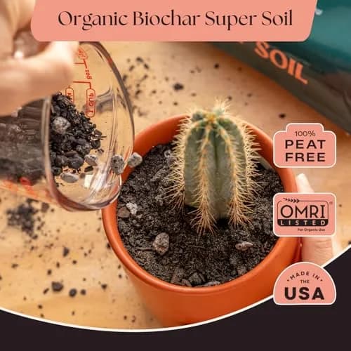 Rosy Soil Cactus & Succulent Potting Mix, 4 Quarts | Organic, Fast Draining, Peat-Free, Root Boosting thumbnail 2