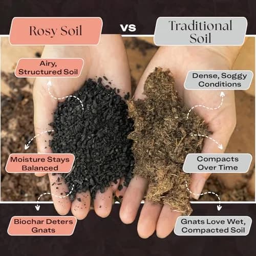 Rosy Soil Cactus & Succulent Potting Mix, 4 Quarts | Organic, Fast Draining, Peat-Free, Root Boosting thumbnail 3