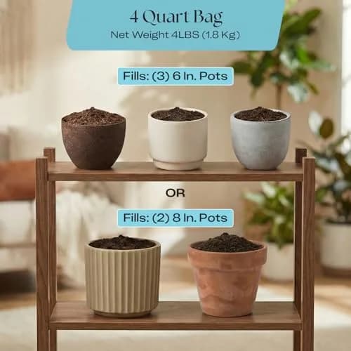 Rosy Soil Houseplant Potting Soil, Organic Indoor Mix, 4 Quarts | Peat-Free, Biochar Enriched thumbnail 6