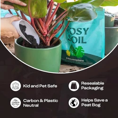 Rosy Soil Houseplant Potting Soil, Organic Indoor Mix, 4 Quarts | Peat-Free, Biochar Enriched thumbnail 7
