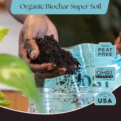 Rosy Soil Houseplant Potting Soil, Organic Indoor Mix, 4 Quarts | Peat-Free, Biochar Enriched thumbnail 2