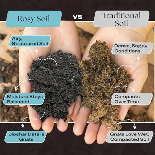Rosy Soil Houseplant Potting Soil, Organic Indoor Mix, 4 Quarts | Peat-Free, Biochar Enriched thumbnail 3