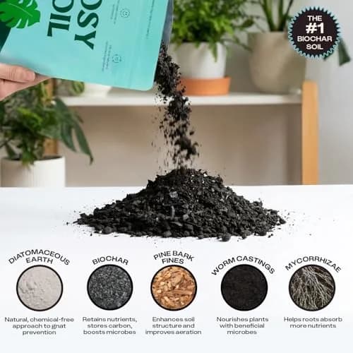 Rosy Soil Houseplant Potting Soil, Organic Indoor Mix, 4 Quarts | Peat-Free, Biochar Enriched thumbnail 4