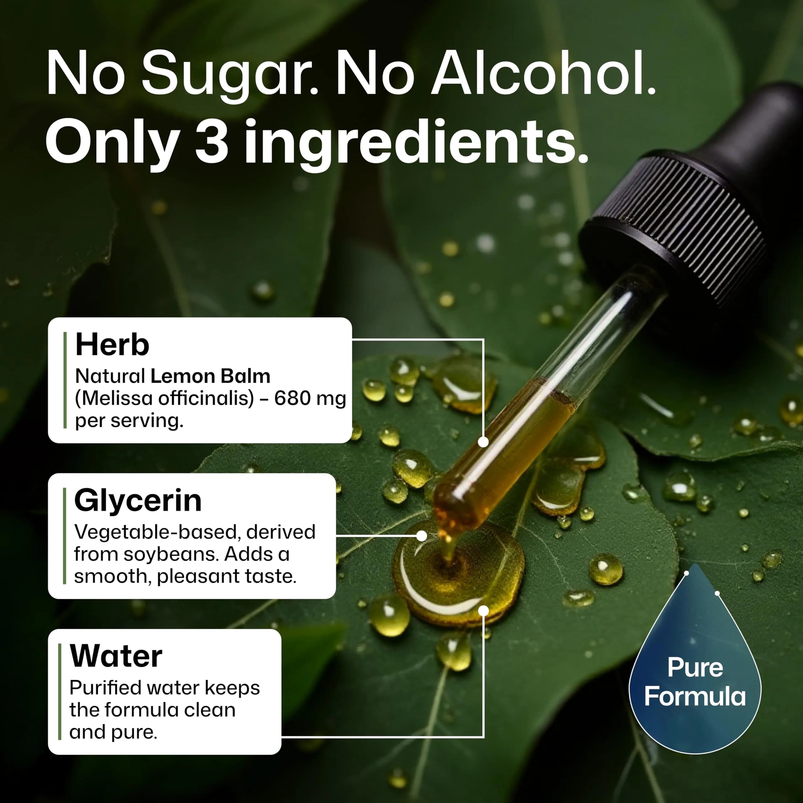 BIO KRAUTER Lemon Balm Tincture 118ml (4 Fl Oz) | Vegan Sleep Support Drops - view 5