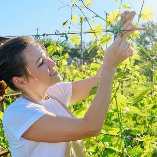 PATIKIL Garden Twist Ties 20M | Reusable with Cutter for Plants & Cable Organization (70-120 chars) thumbnail 7