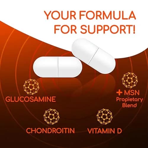 X Ray Dol Triple Action Joint Support Supplement 60 Count | Supports Healthy Joints & Bones thumbnail 4
