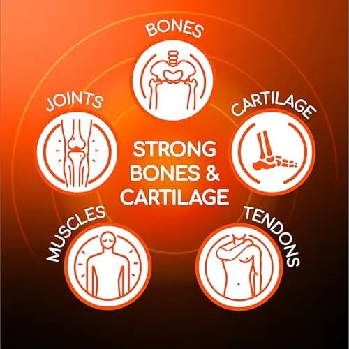 X Ray Dol Triple Action Joint Support Supplement 60 Count | Supports Healthy Joints & Bones thumbnail 5