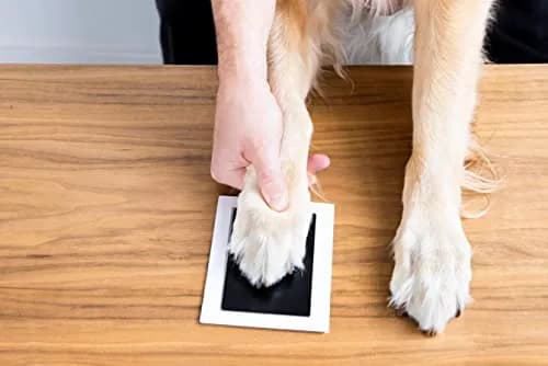 Pearhead Clean Touch Ink Pad Kit 4-Pack, Black | Mess-Free Baby & Pet Prints thumbnail 8