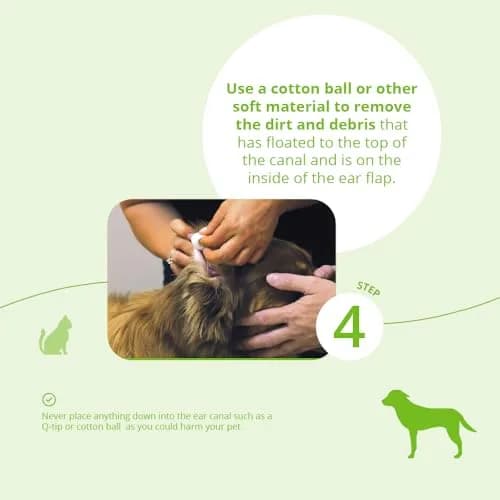 Dechra TrizEDTA® Aqueous Flush for Dogs, Cats & Horses | Ear Care Solution, 4 Fl Oz thumbnail 7