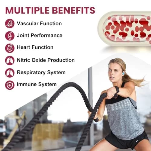Vigorizar Pycnogeno with PQQ 120 Softgels | French Maritime Pine Bark Extract Antioxidant Support thumbnail 5
