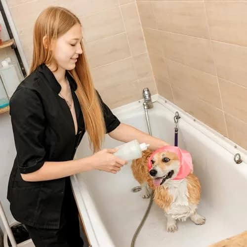 Aliceset Dog Bath Shower Caps 3 Pack Waterproof Ear Covers for Bathing | Adjustable, Durable & Versatile (70-120 chars) thumbnail 6