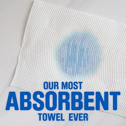 Scott Paper Towels Choose-A-Sheet 2 Double Rolls (200 Sheets) | 1-Ply, Absorbency Ridges thumbnail 4
