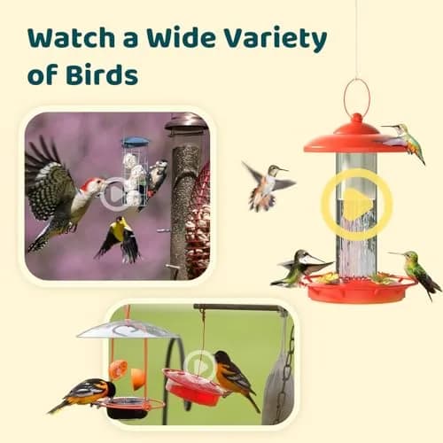 NETVUE Birdfy Smart Bird Camera with Adjustable Brackets | AI Bird ID & 6000+ Species thumbnail 6