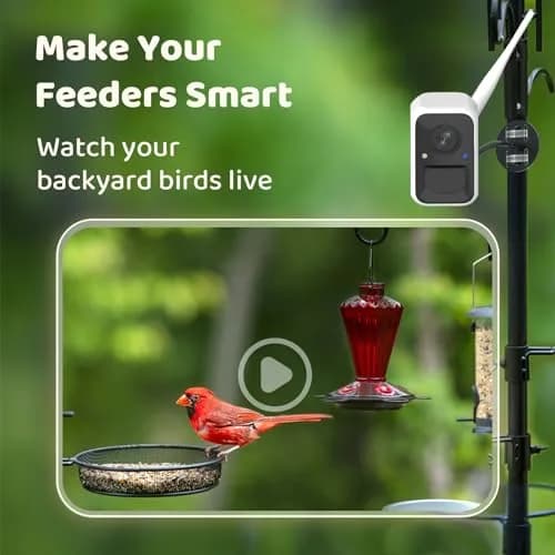 NETVUE Birdfy Smart Bird Camera with Adjustable Brackets | AI Bird ID & 6000+ Species thumbnail 2