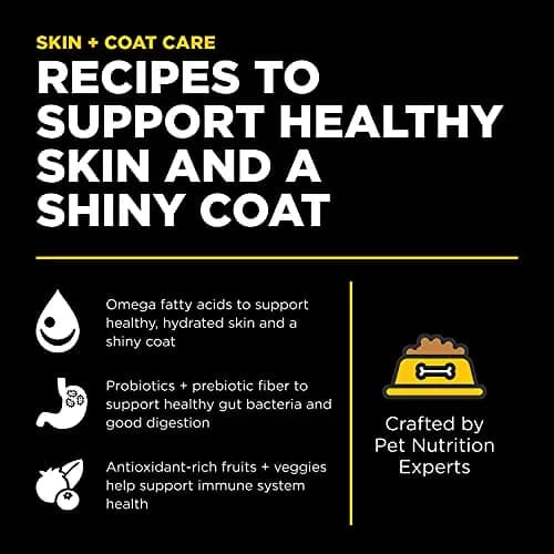 Go! Solutions Skin + Coat Care Duck Dry Dog Food, 22 lb | Supports Healthy Skin & Lustrous Coat thumbnail 2